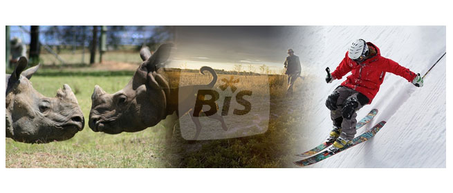 BiS French TV Equidia Live